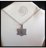 Collar acero Colo Colo