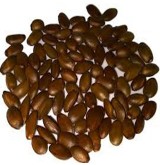 Semillas de Graviola