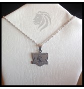 Collar acero Colo Colo
