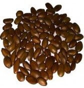 Semillas de Graviola